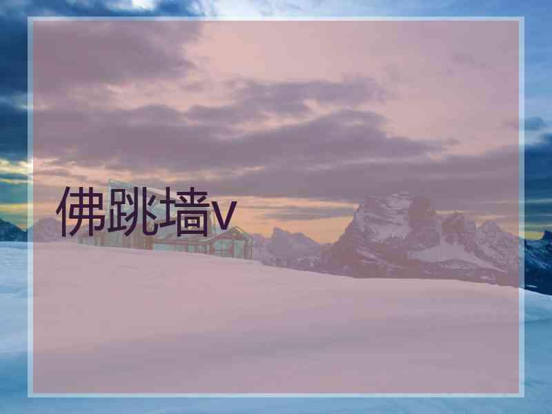 佛跳墙v