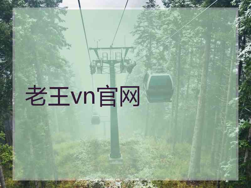 老王vn官网