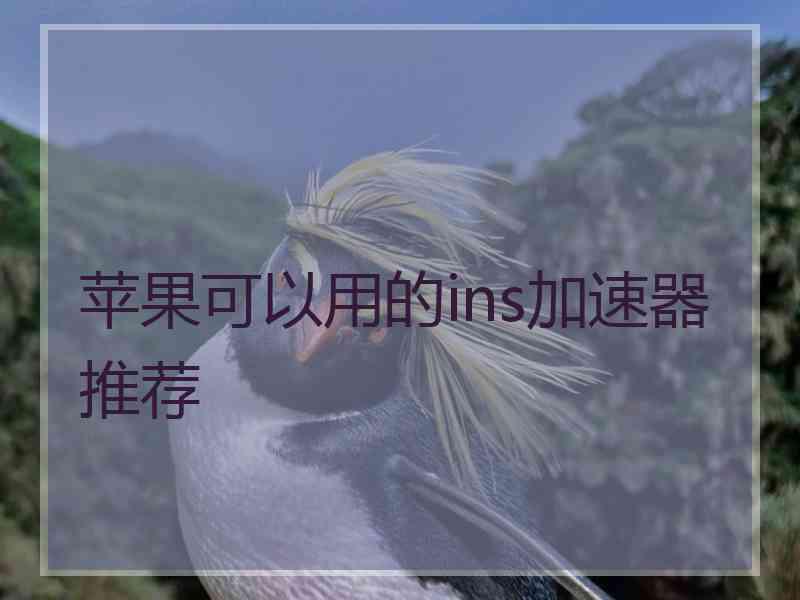 苹果可以用的ins加速器推荐