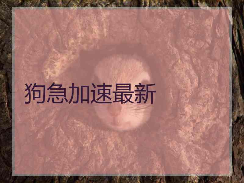 狗急加速最新