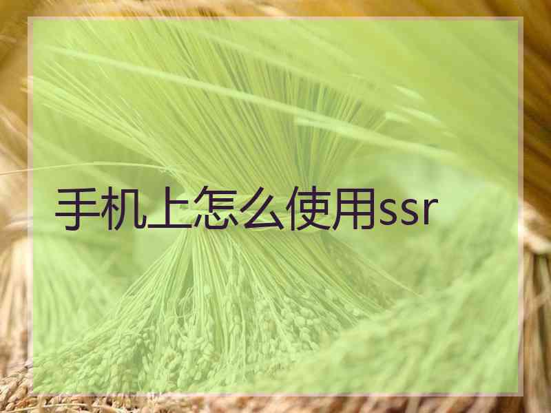 手机上怎么使用ssr