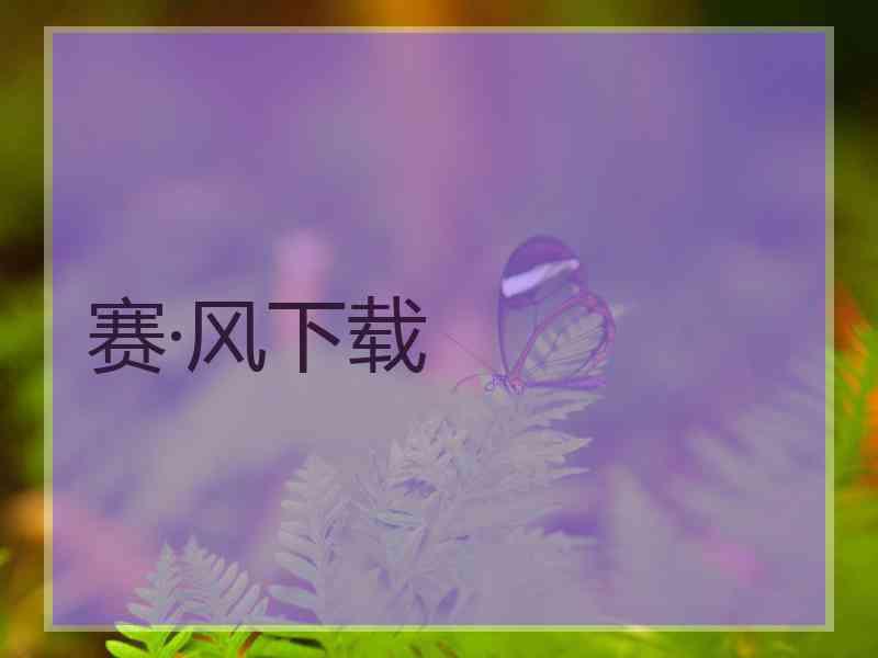 赛·风下载