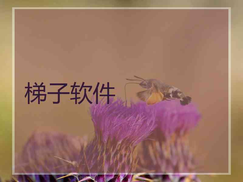 梯子软件