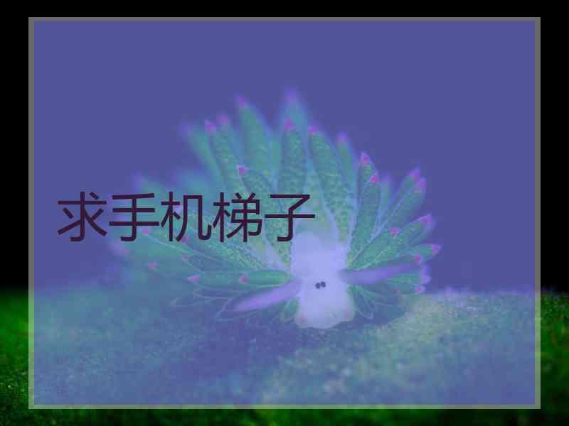 求手机梯子
