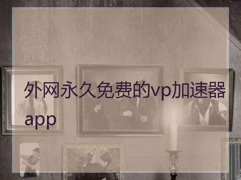 外网永久免费的vp加速器app