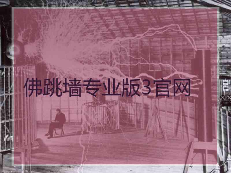 佛跳墙专业版3官网