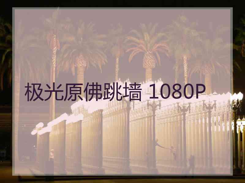 极光原佛跳墙 1080P