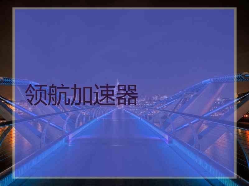 领航加速器