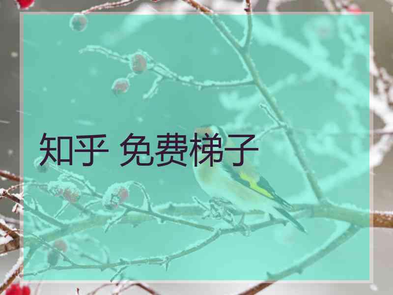 知乎 免费梯子
