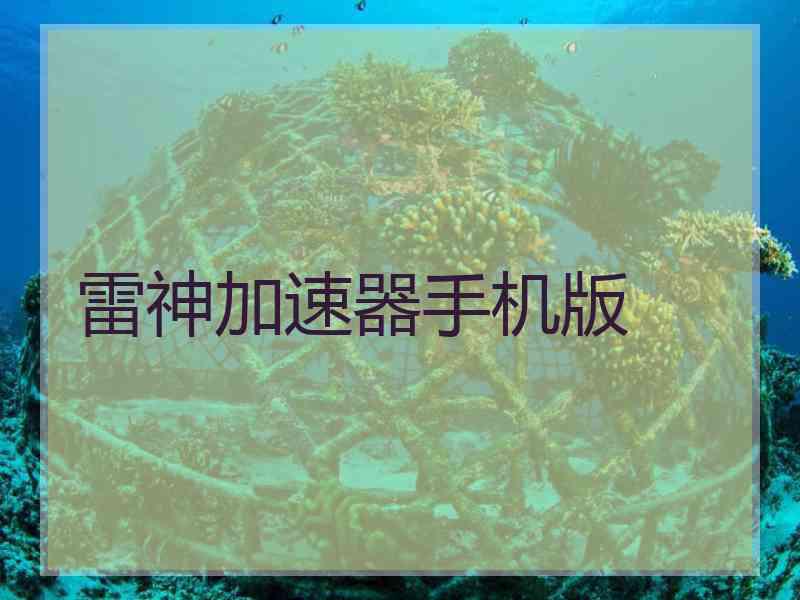 雷神加速器手机版