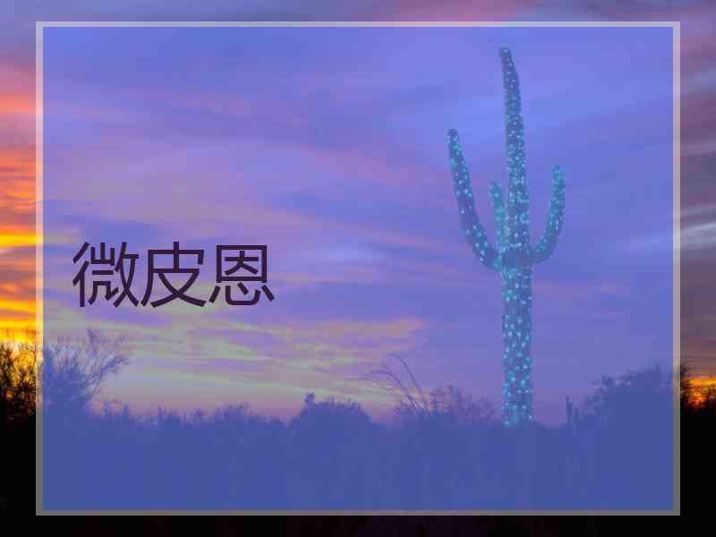 微皮恩