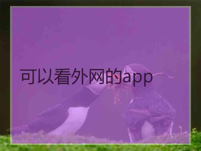 可以看外网的app