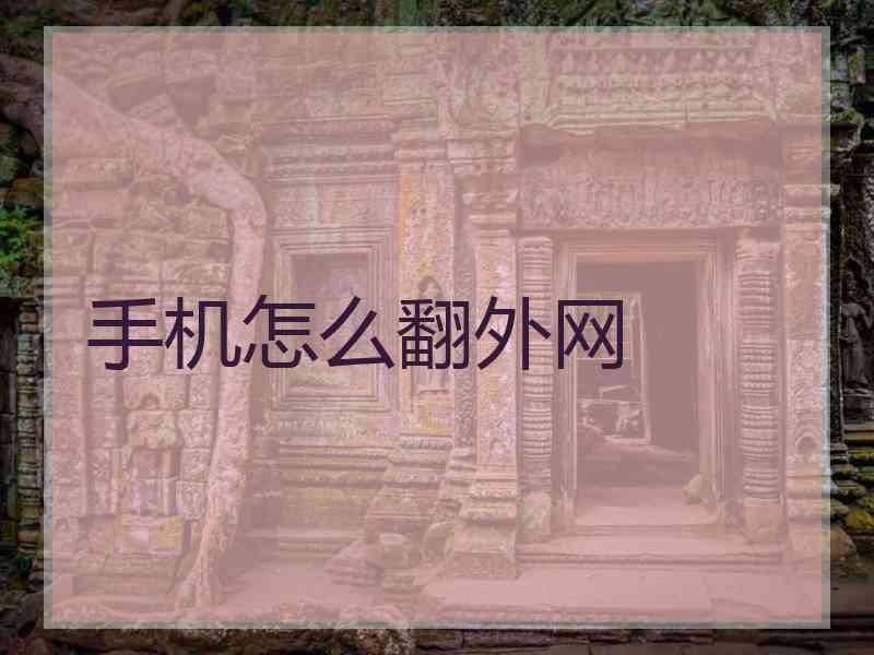 手机怎么翻外网
