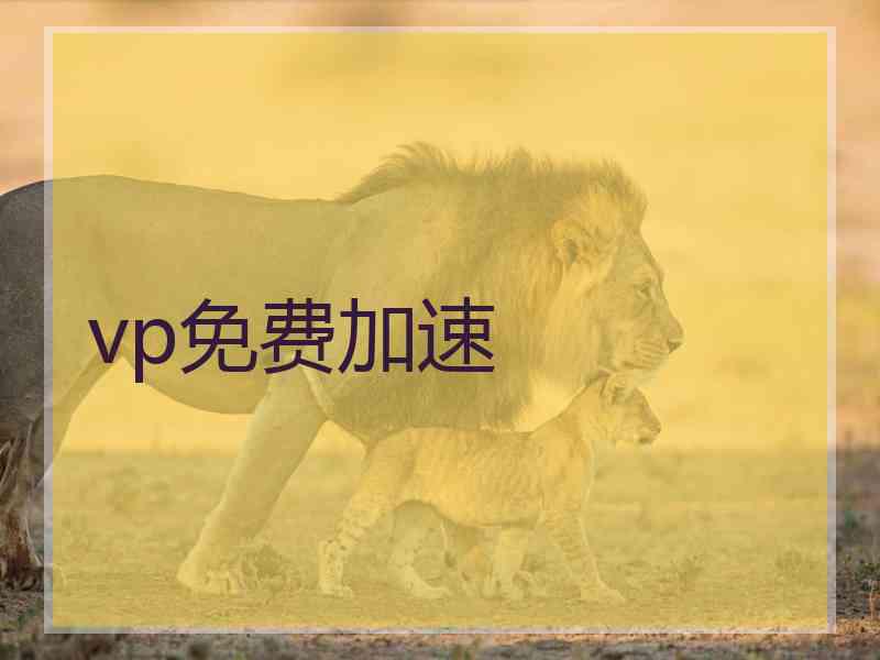 vp免费加速