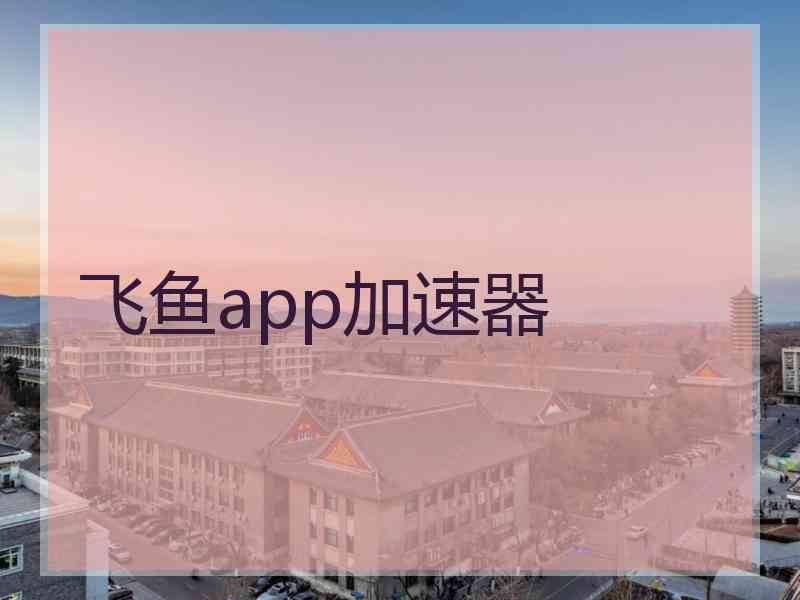 飞鱼app加速器