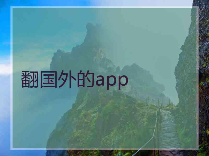 翻国外的app
