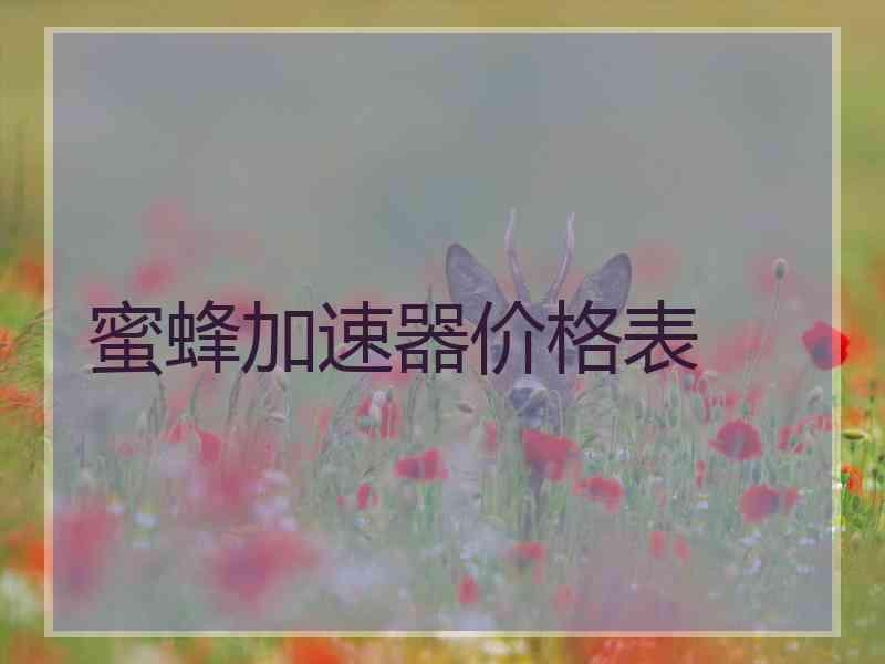 蜜蜂加速器价格表