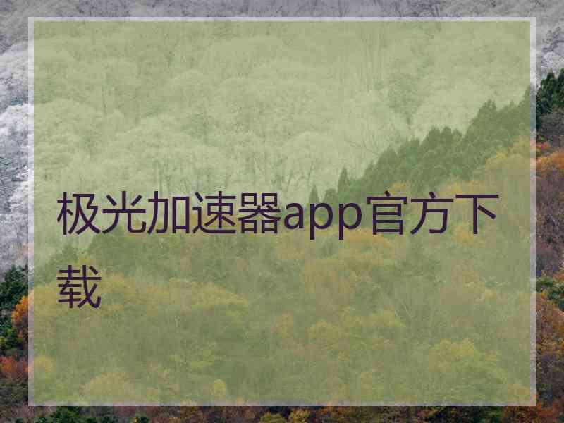 极光加速器app官方下载