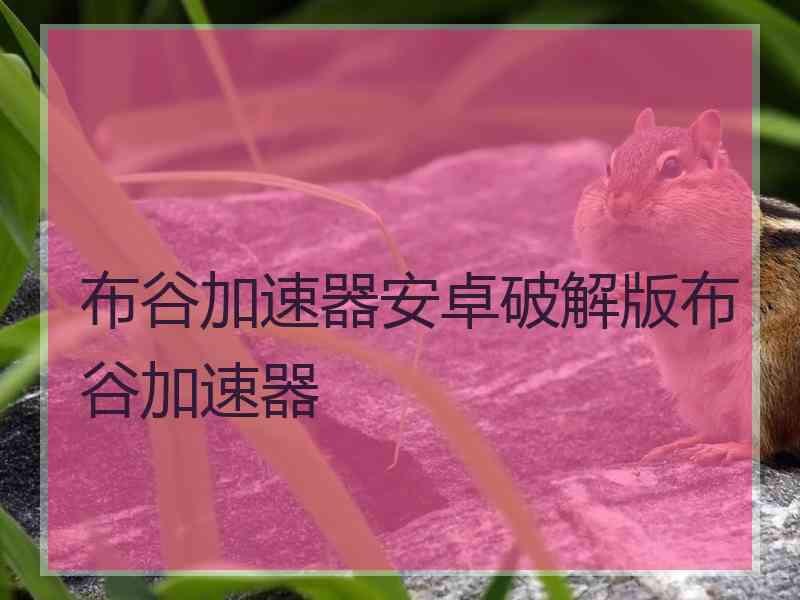 布谷加速器安卓破解版布谷加速器