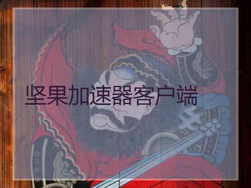 坚果加速器客户端