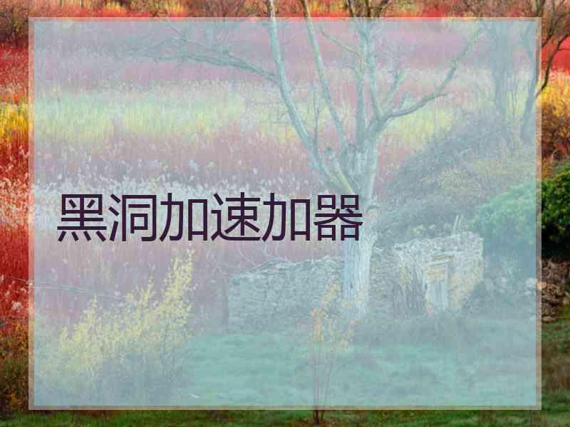 黑洞加速加器
