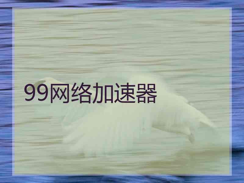99网络加速器