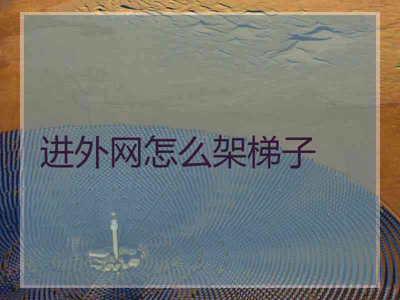 进外网怎么架梯子