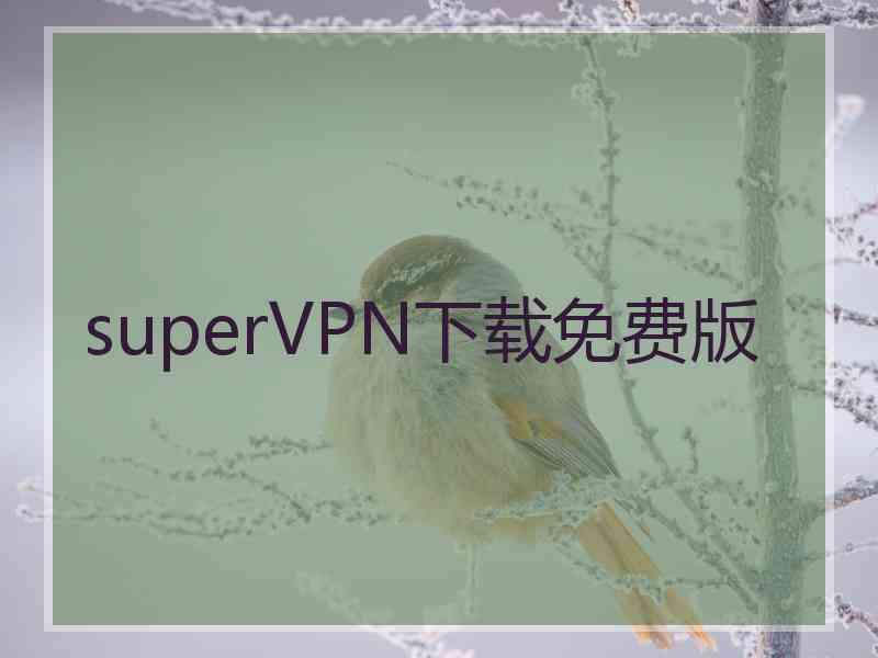 superVРN下载免费版