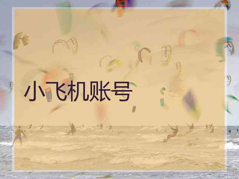 小飞机账号