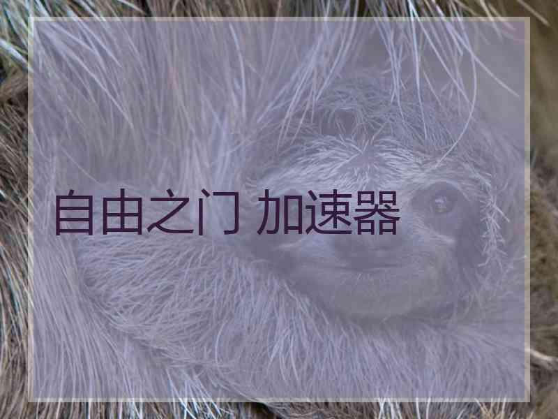 自由之门 加速器