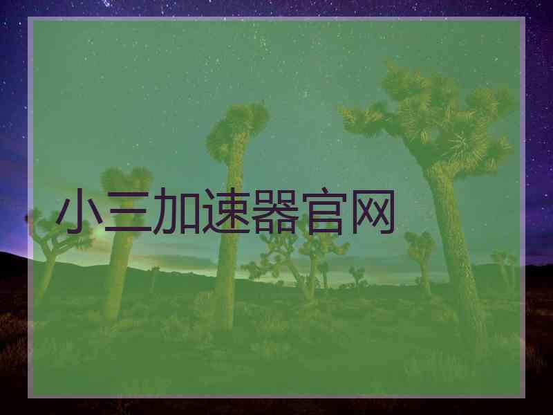 小三加速器官网