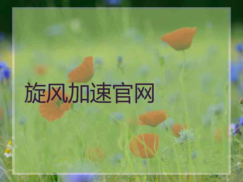 旋风加速官网