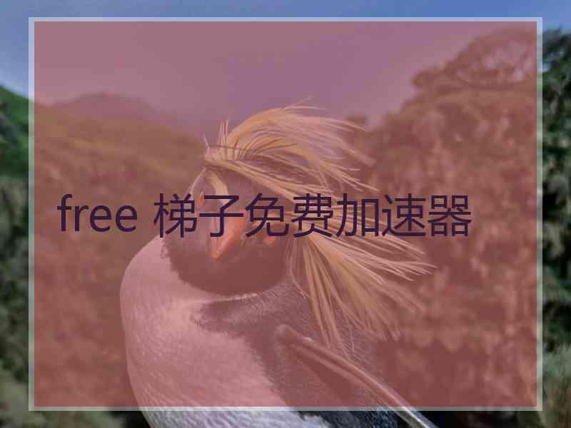 free 梯子免费加速器