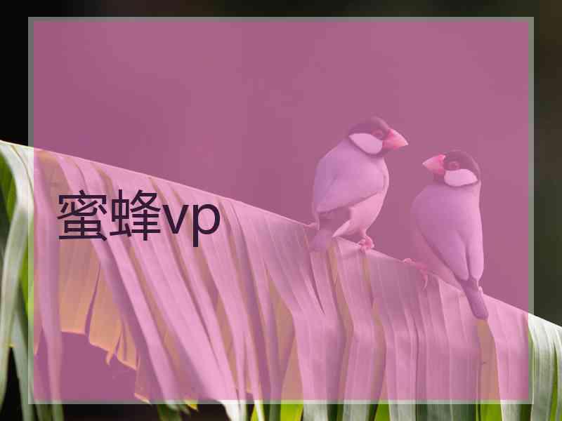 蜜蜂vp