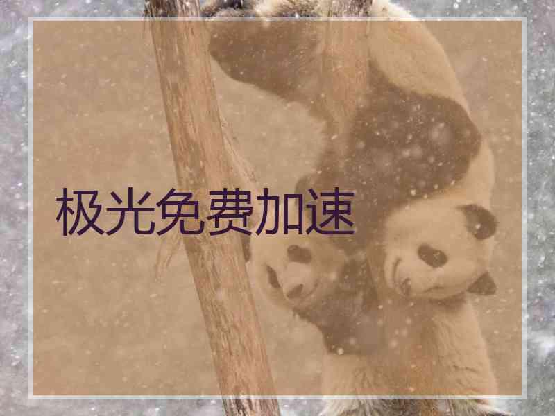 极光免费加速