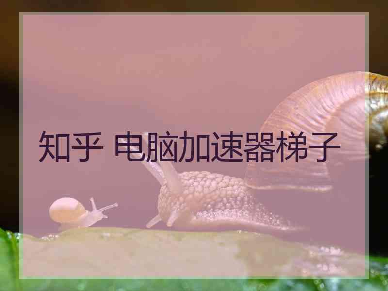 知乎 电脑加速器梯子