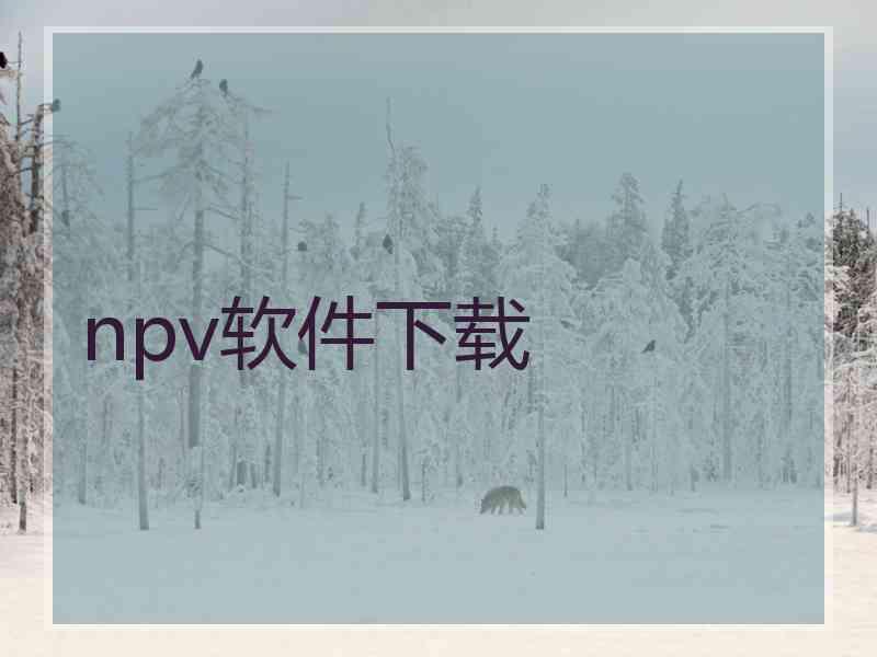 npv软件下载