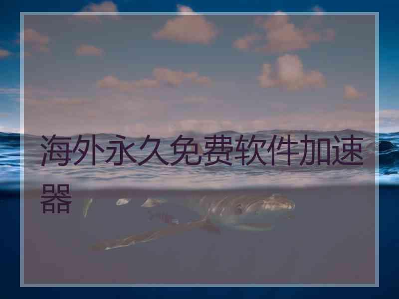 海外永久免费软件加速器
