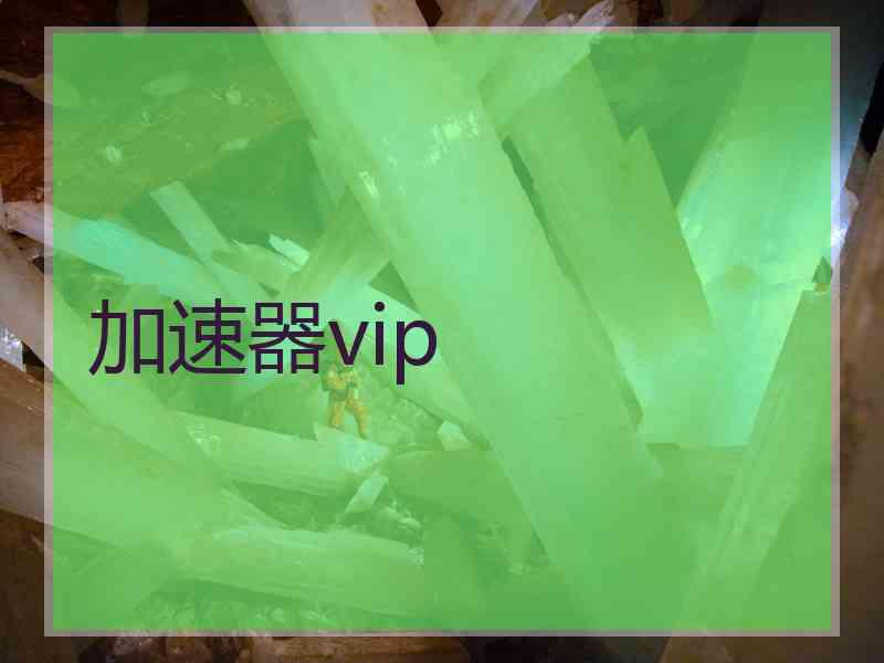 加速器vip