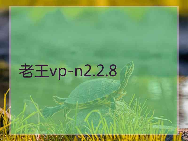 老王vp-n2.2.8