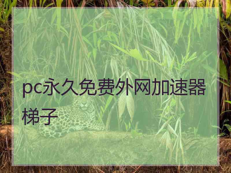 pc永久免费外网加速器梯子