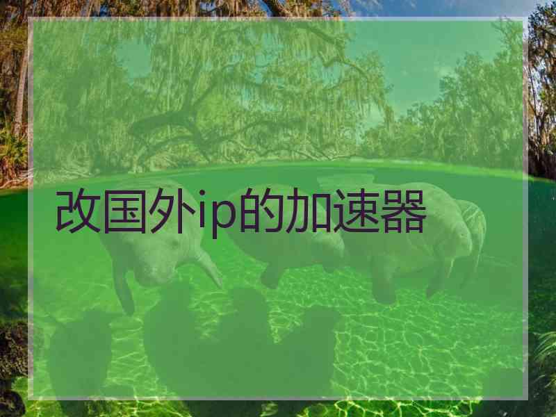 改国外ip的加速器