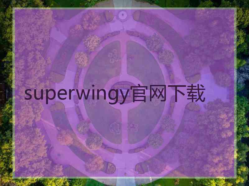 superwingy官网下载
