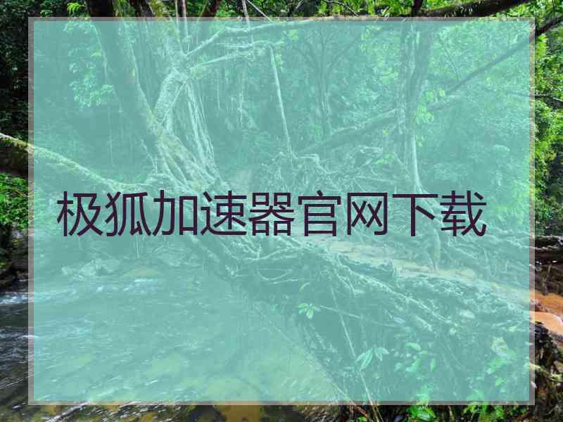 极狐加速器官网下载