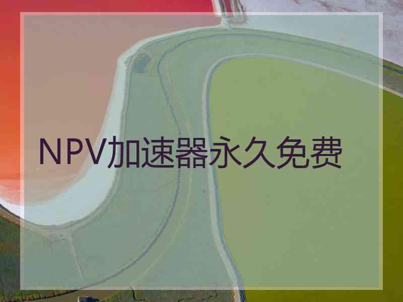 NPV加速器永久免费