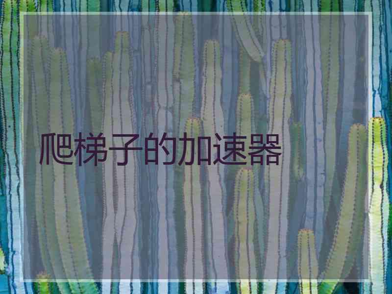 爬梯子的加速器