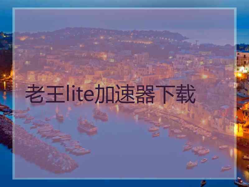 老王lite加速器下载