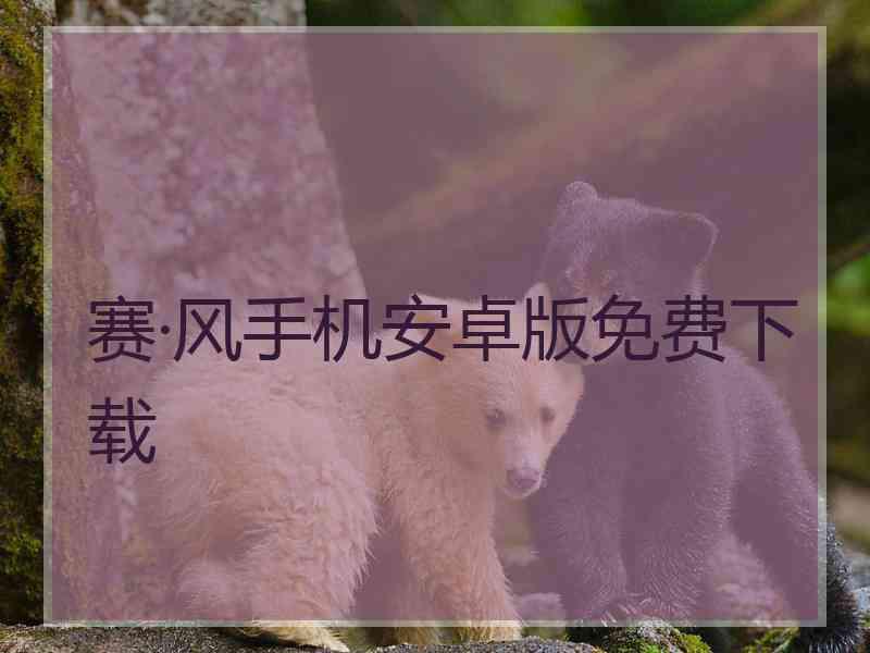 赛·风手机安卓版免费下载