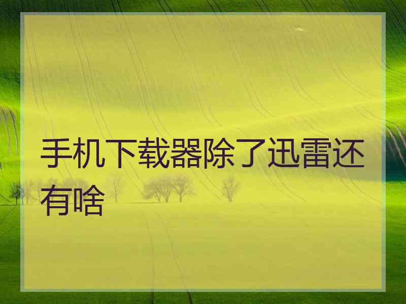 手机下载器除了迅雷还有啥