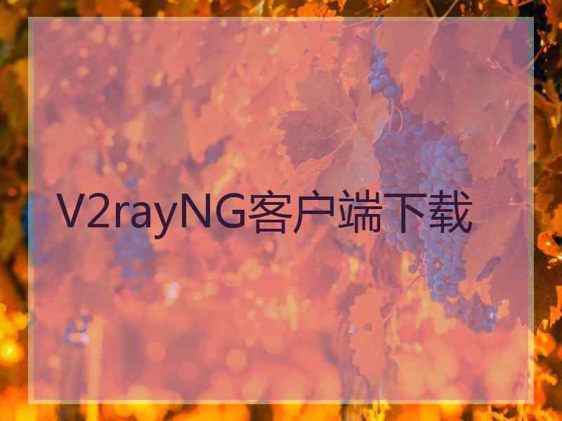 V2rayNG客户端下载